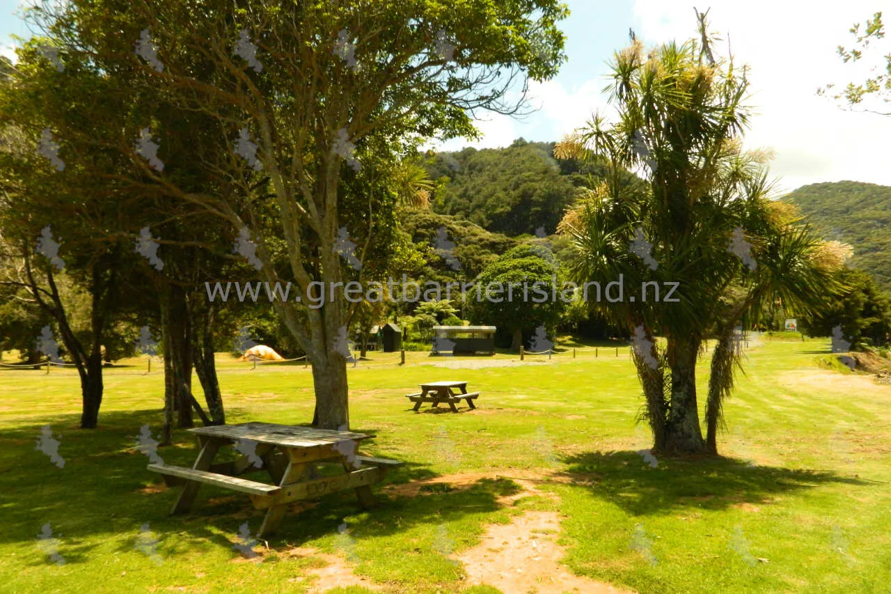 akapoua campground great barrier island 4