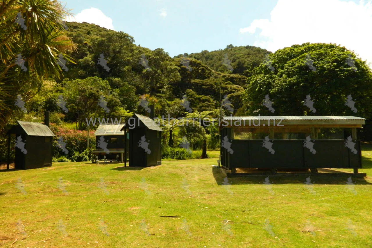 akapoua campground great barrier island 5