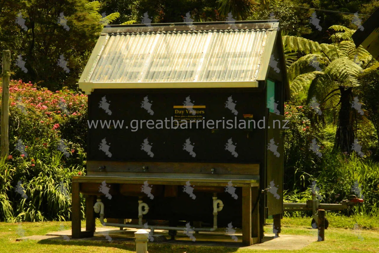 akapoua campground great barrier island 6