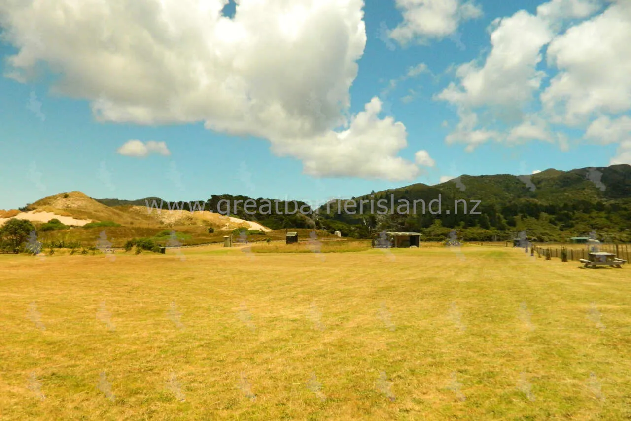 awana campground great barrier island 2