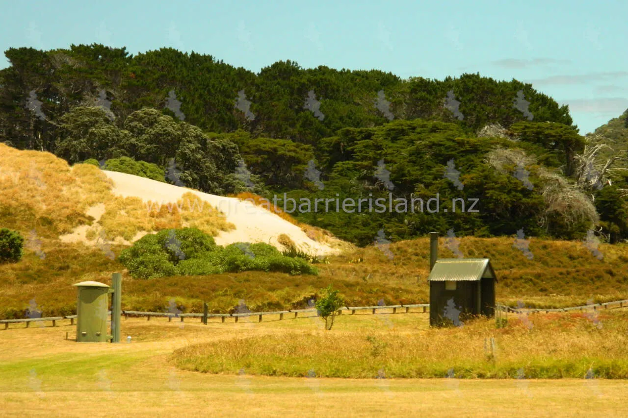 awana campground great barrier island 4