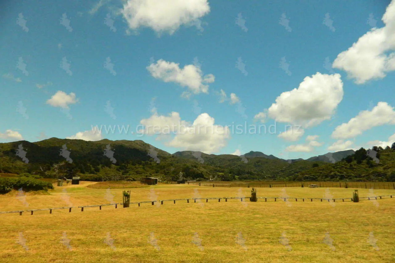 awana campground great barrier island 8