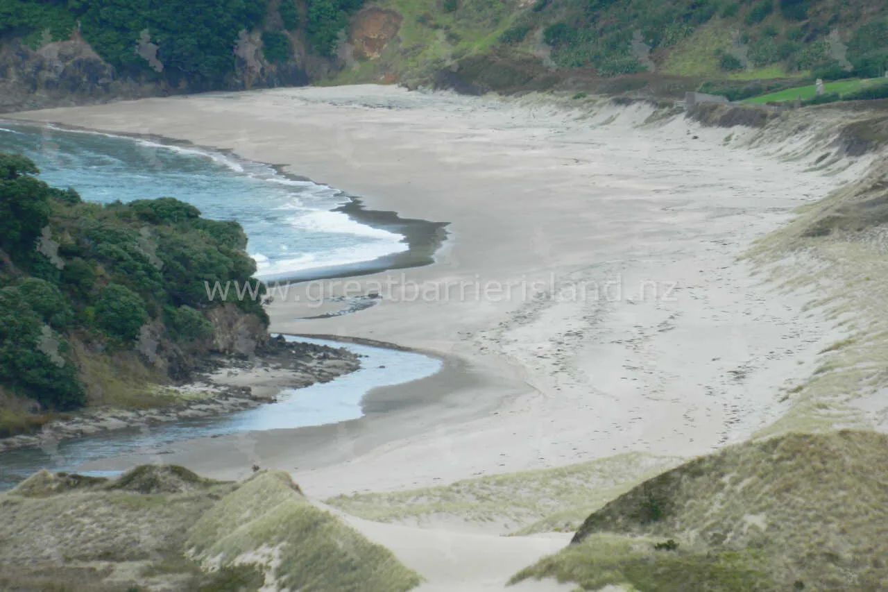 awana great barrier island 3