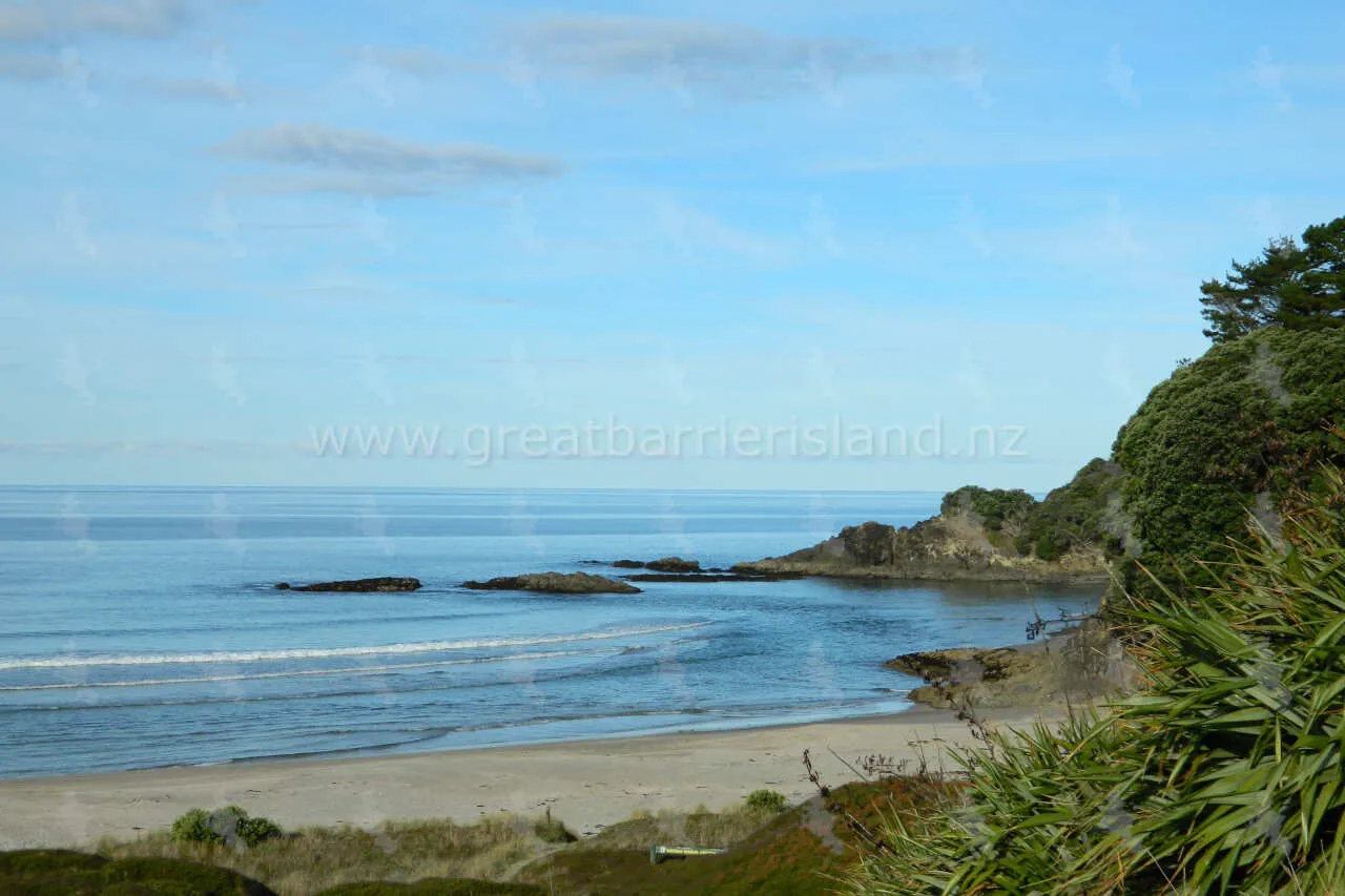 awana great barrier island 4