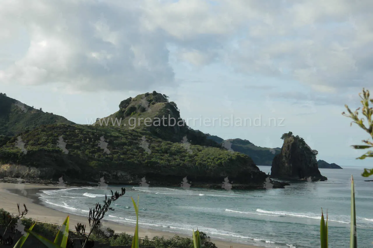 awana great barrier island 5