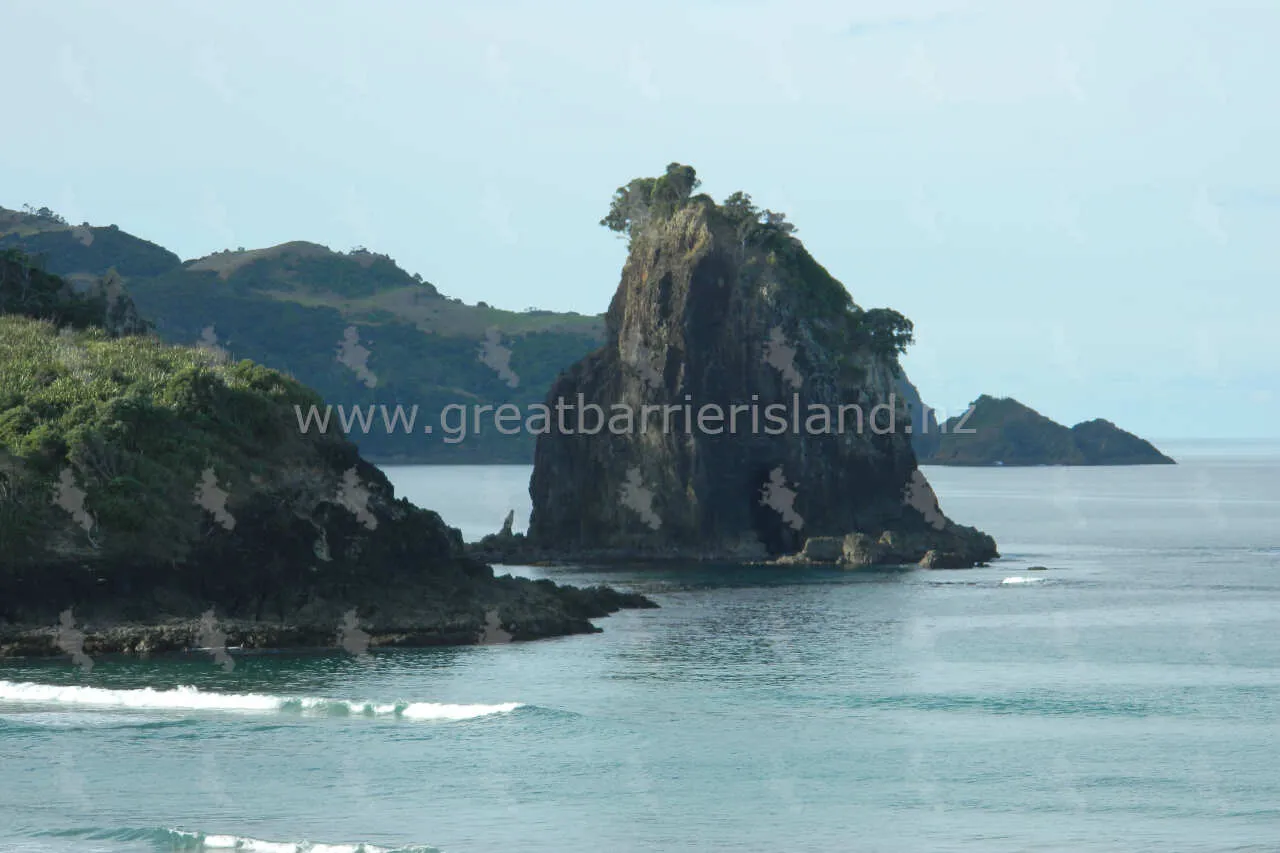 awana great barrier island 8