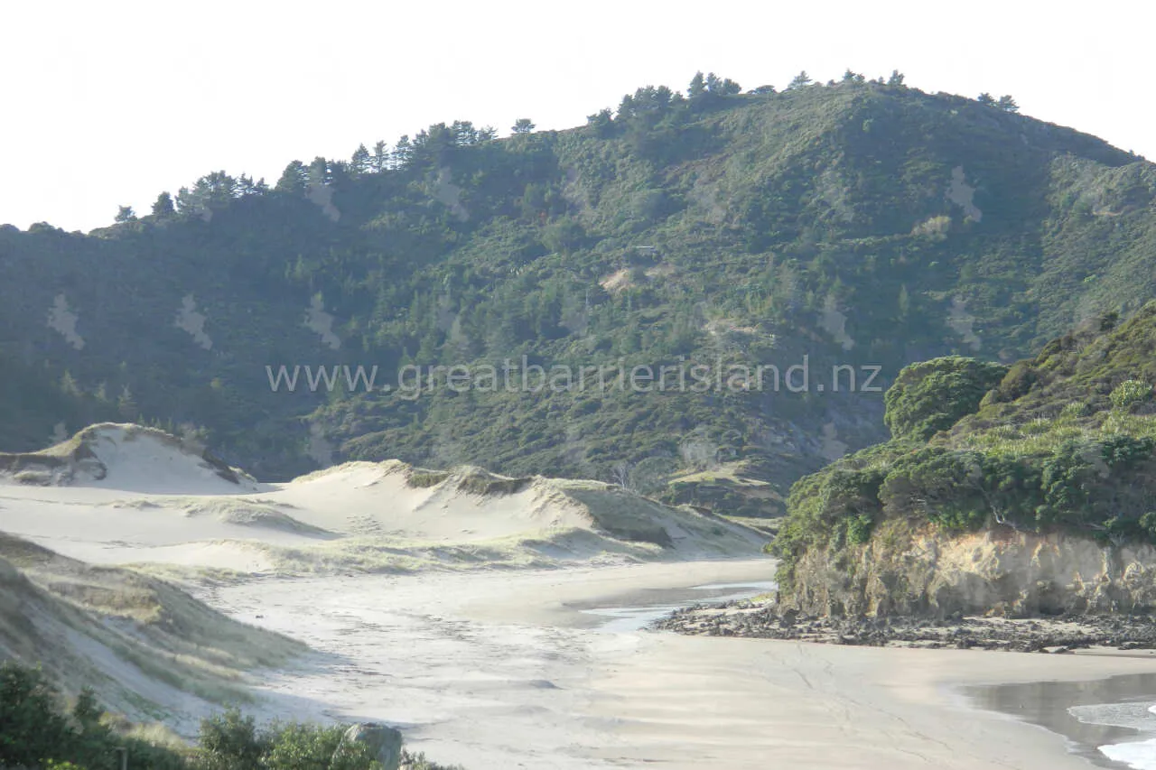 awana great barrier island 9