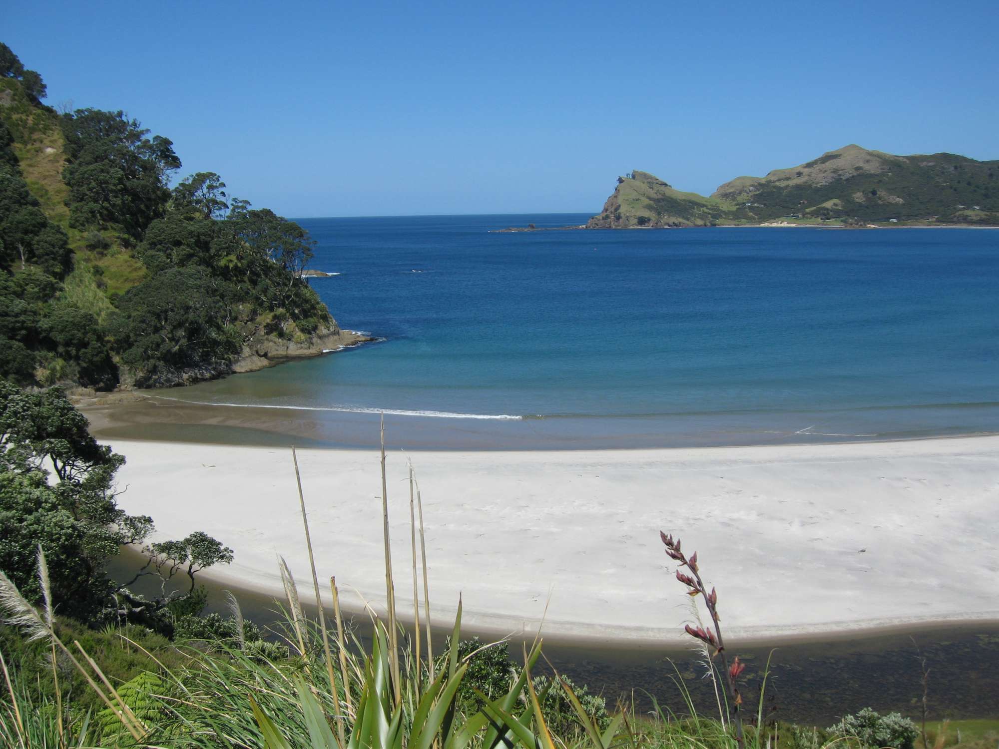 Great Barrier Island New Zealand