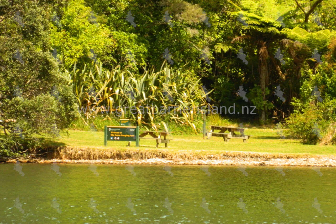 green campsite whangaparapara great barrier island 1