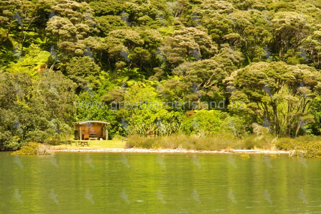 green campsite whangaparapara great barrier island 2