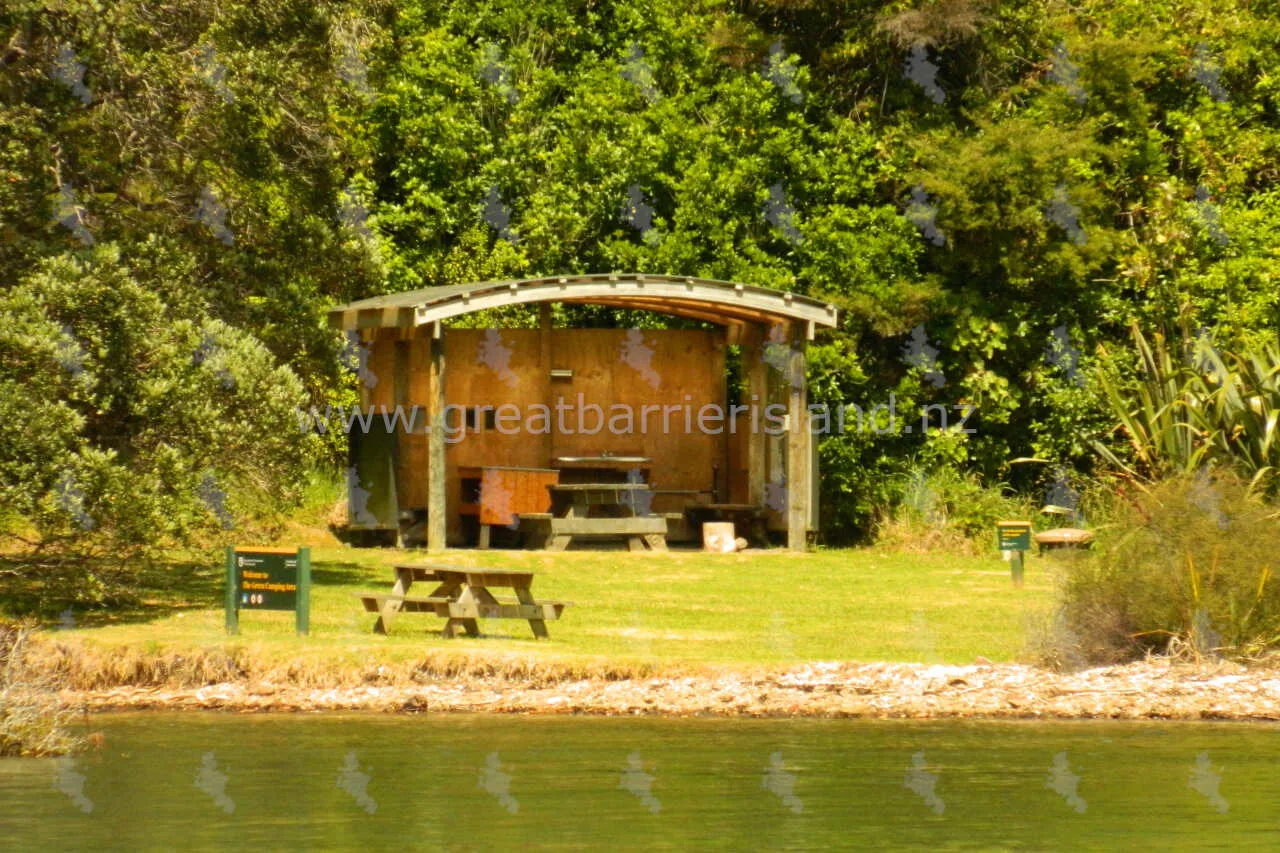 green campsite whangaparapara great barrier island 3