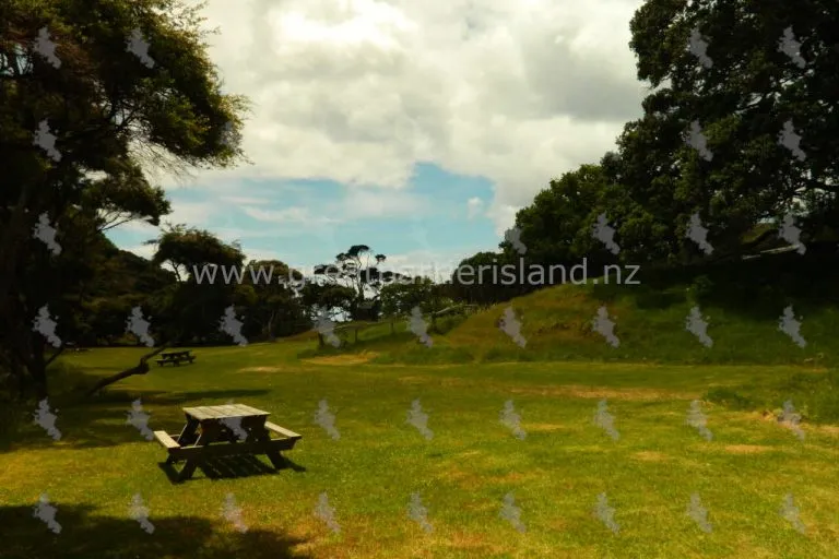 harataonga campground great barrier island 10 768x512