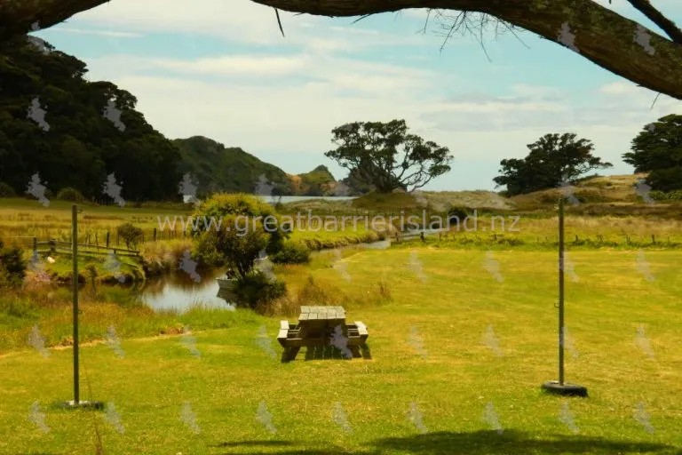 harataonga campground great barrier island 13 768x512