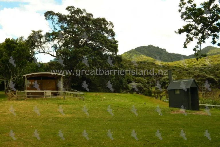 harataonga campground great barrier island 3 768x512