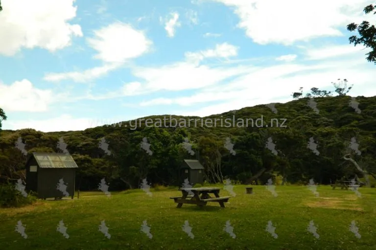 harataonga campground great barrier island 4 768x512