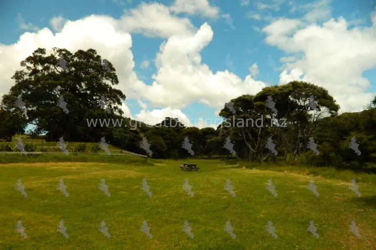 harataonga campground great barrier island 8 768x512