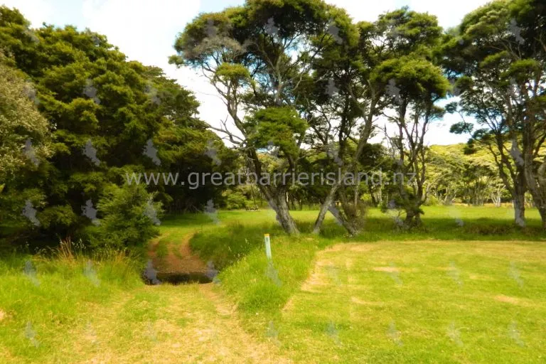harataonga campground great barrier island 9 768x512
