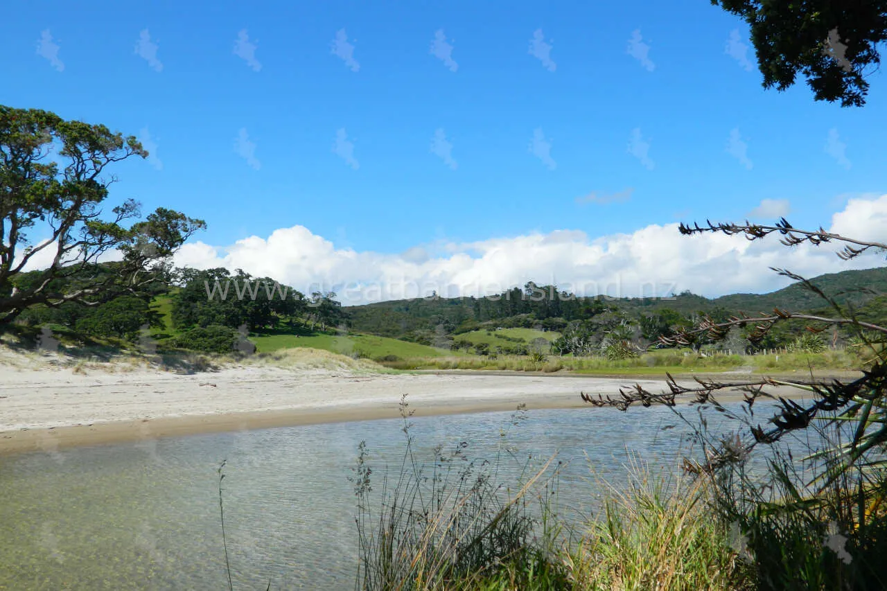 harataonga great barrier island 3