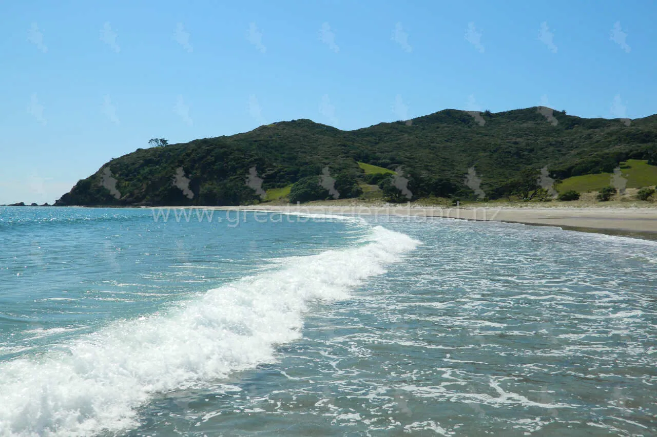 harataonga great barrier island 7
