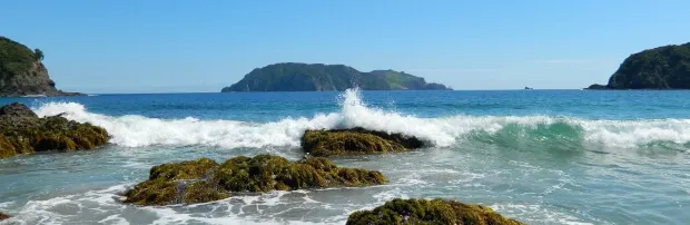 Discover Great Barrier Island