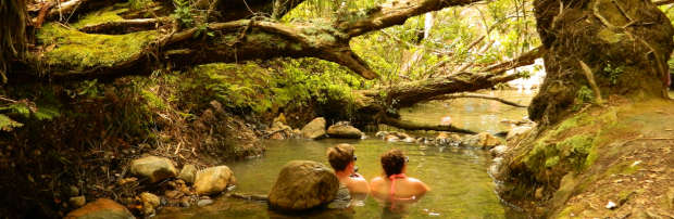 Enjoy Great Barrier Island