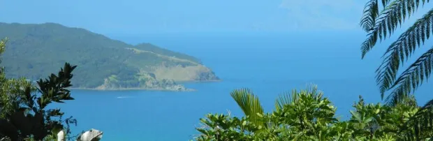 Welcome to Great Barrier Island