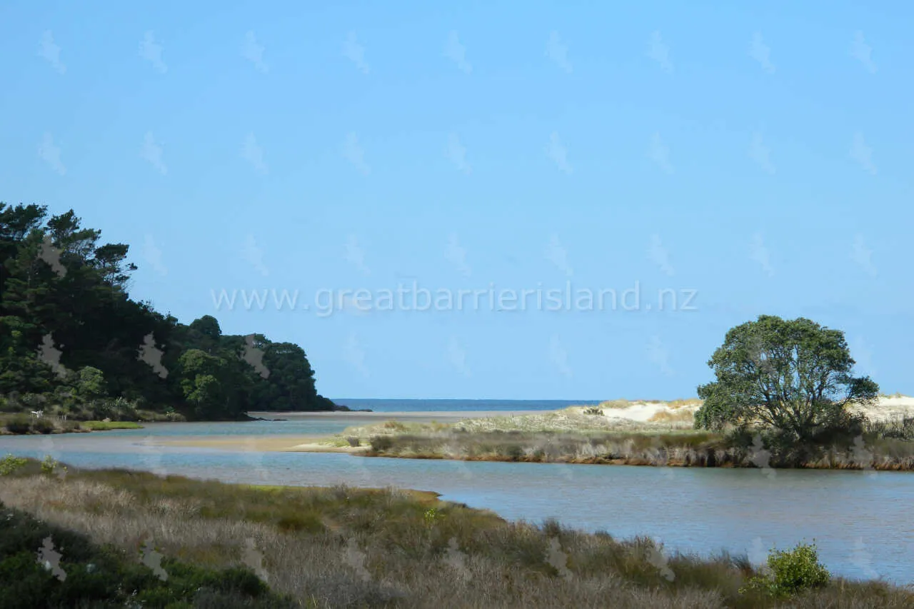 kaitoke great barrier island 12