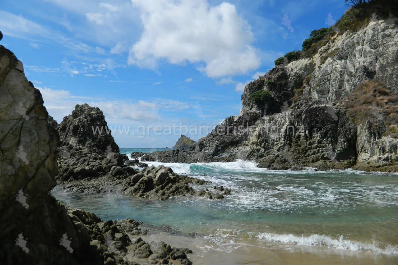 kaitoke great barrier island 5