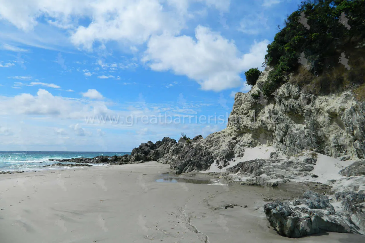 kaitoke great barrier island 8