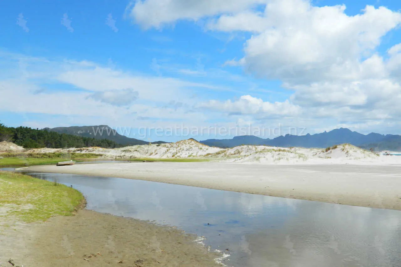 kaitoke great barrier island 9