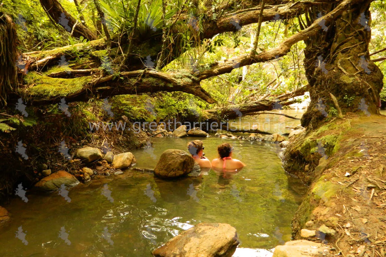 kaitoke hot springs great barrier island 4