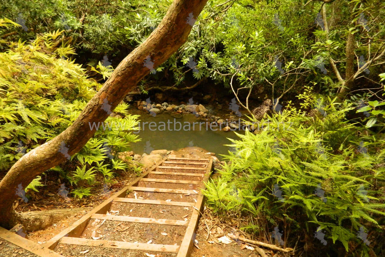 kaitoke hot springs great barrier island 5