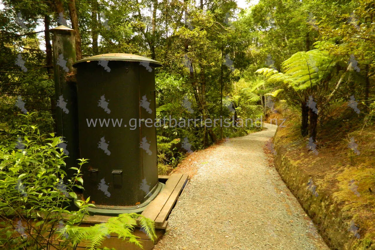 kaitoke hot springs great barrier island 9
