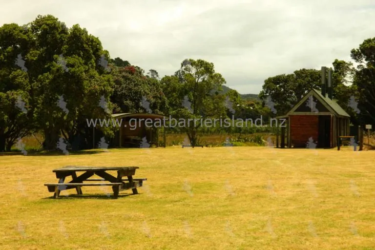 medlands campground great barrier island 2 768x512