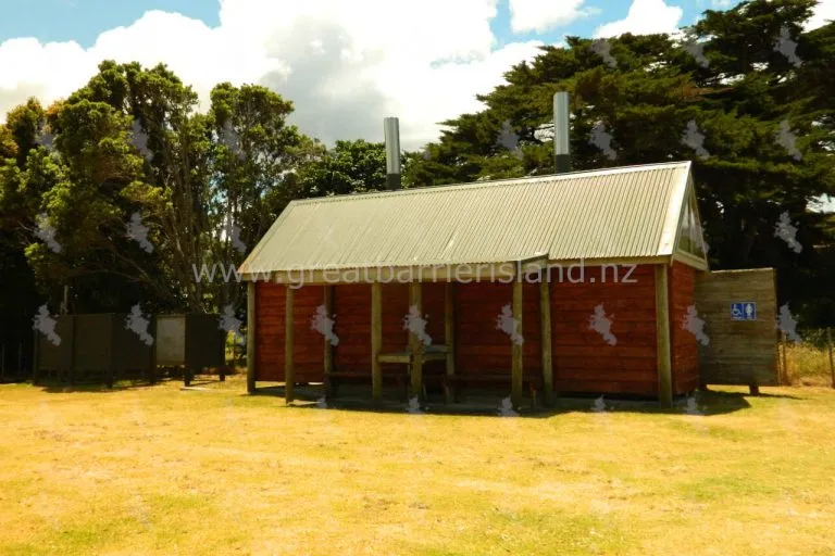 medlands campground great barrier island 3 768x512