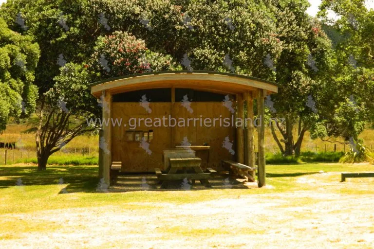 medlands campground great barrier island 5 768x512