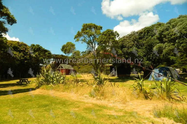 medlands campground great barrier island 6 768x512