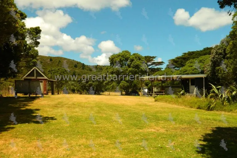 medlands campground great barrier island 8 768x512