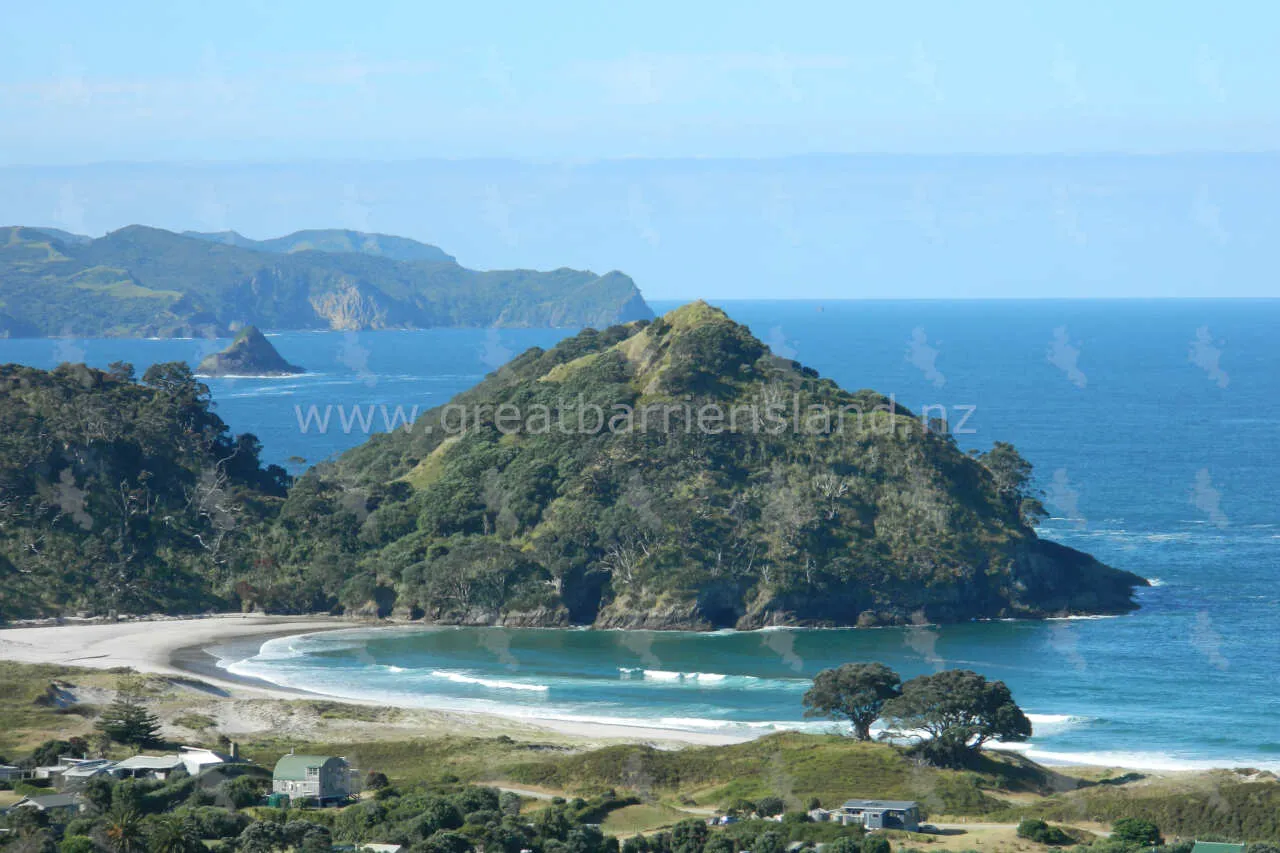 medlands great barrier island 1