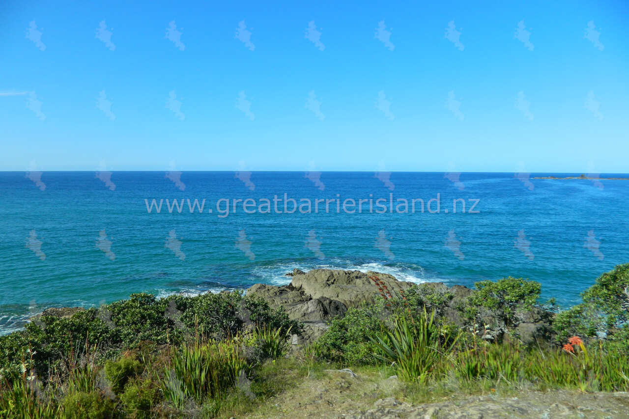 Medlands Beach Great Barrier Island