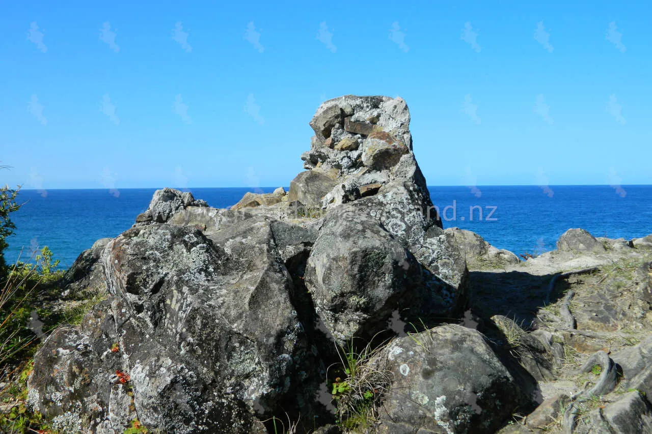 medlands great barrier island 5