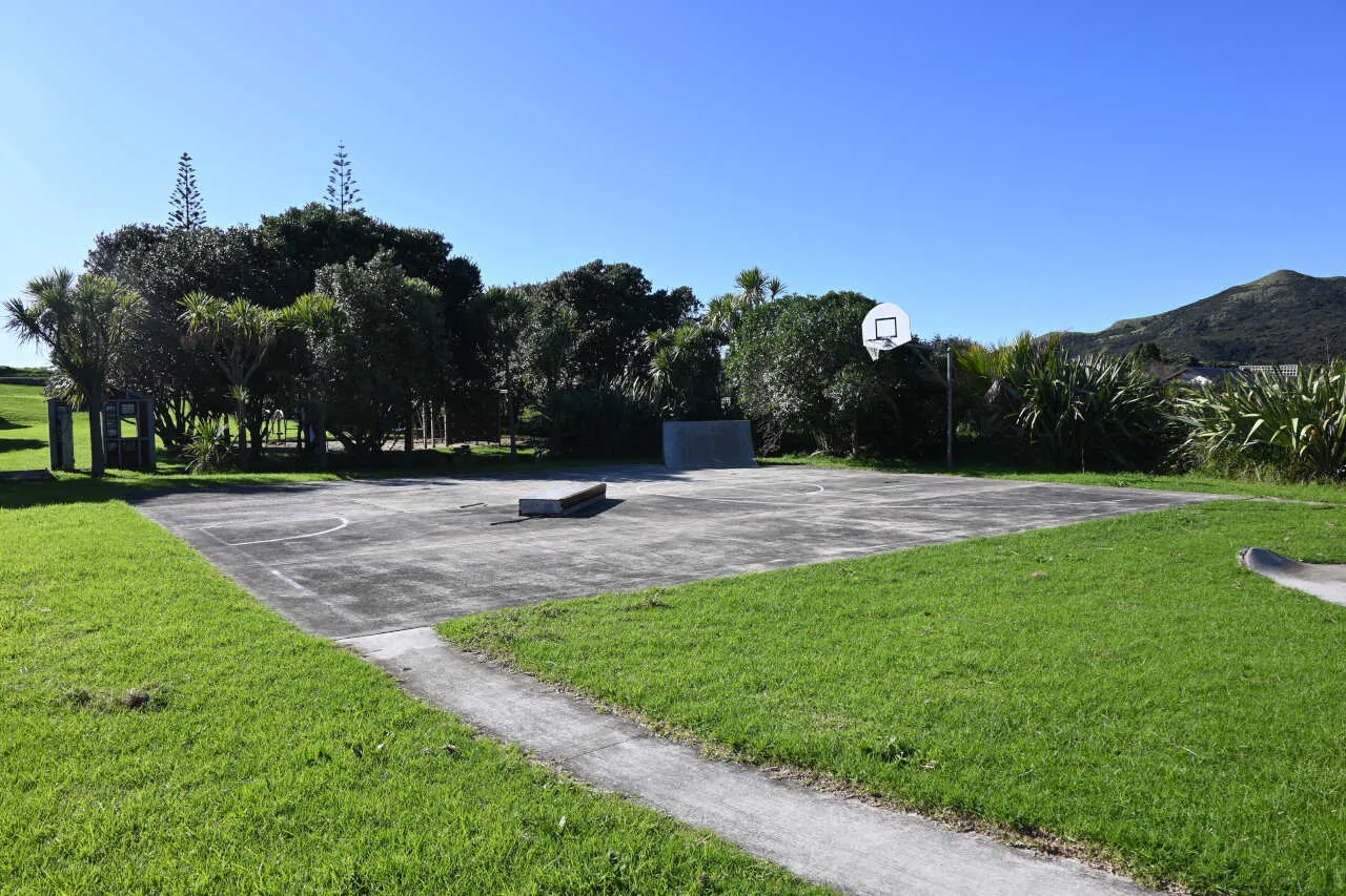 medlands recreation reserve great barrier island 10