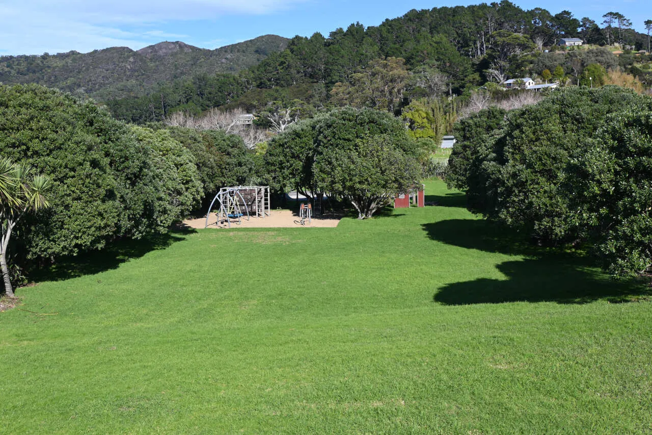 medlands recreation reserve great barrier island 2