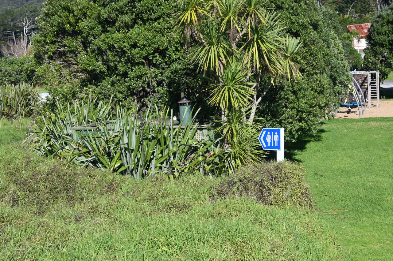medlands recreation reserve great barrier island 3