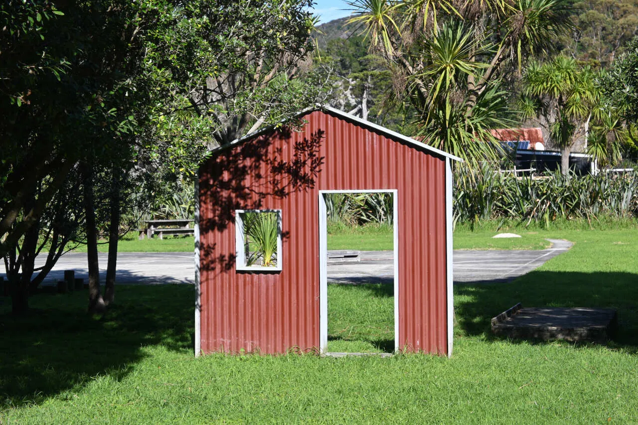medlands recreation reserve great barrier island 6