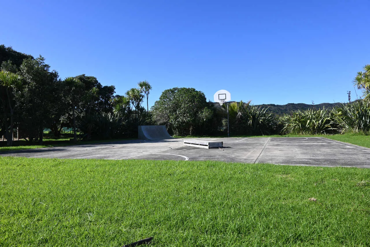 medlands recreation reserve great barrier island 8