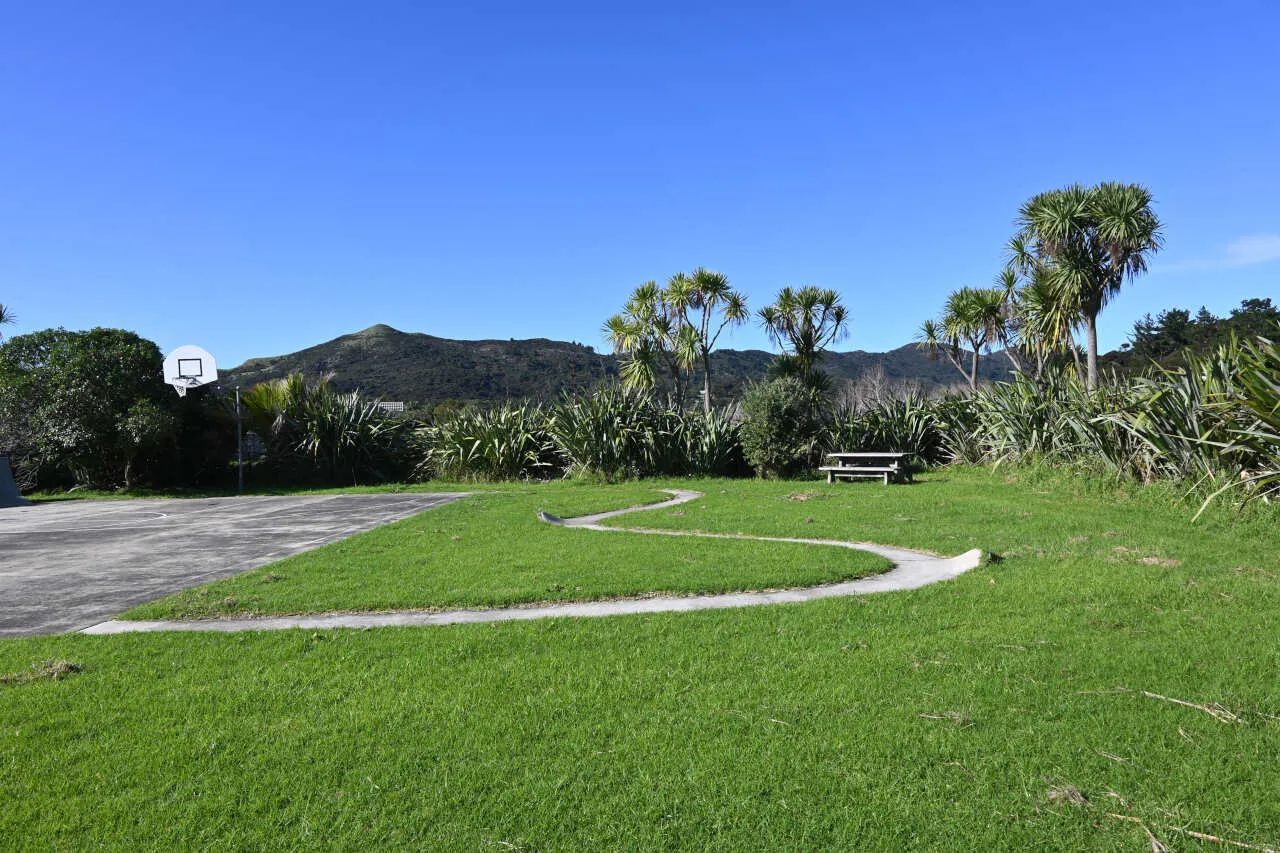 medlands recreation reserve great barrier island 9