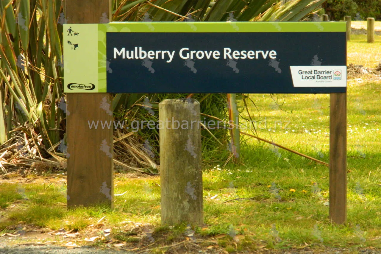 mulberry grove reserve great barrier island 1