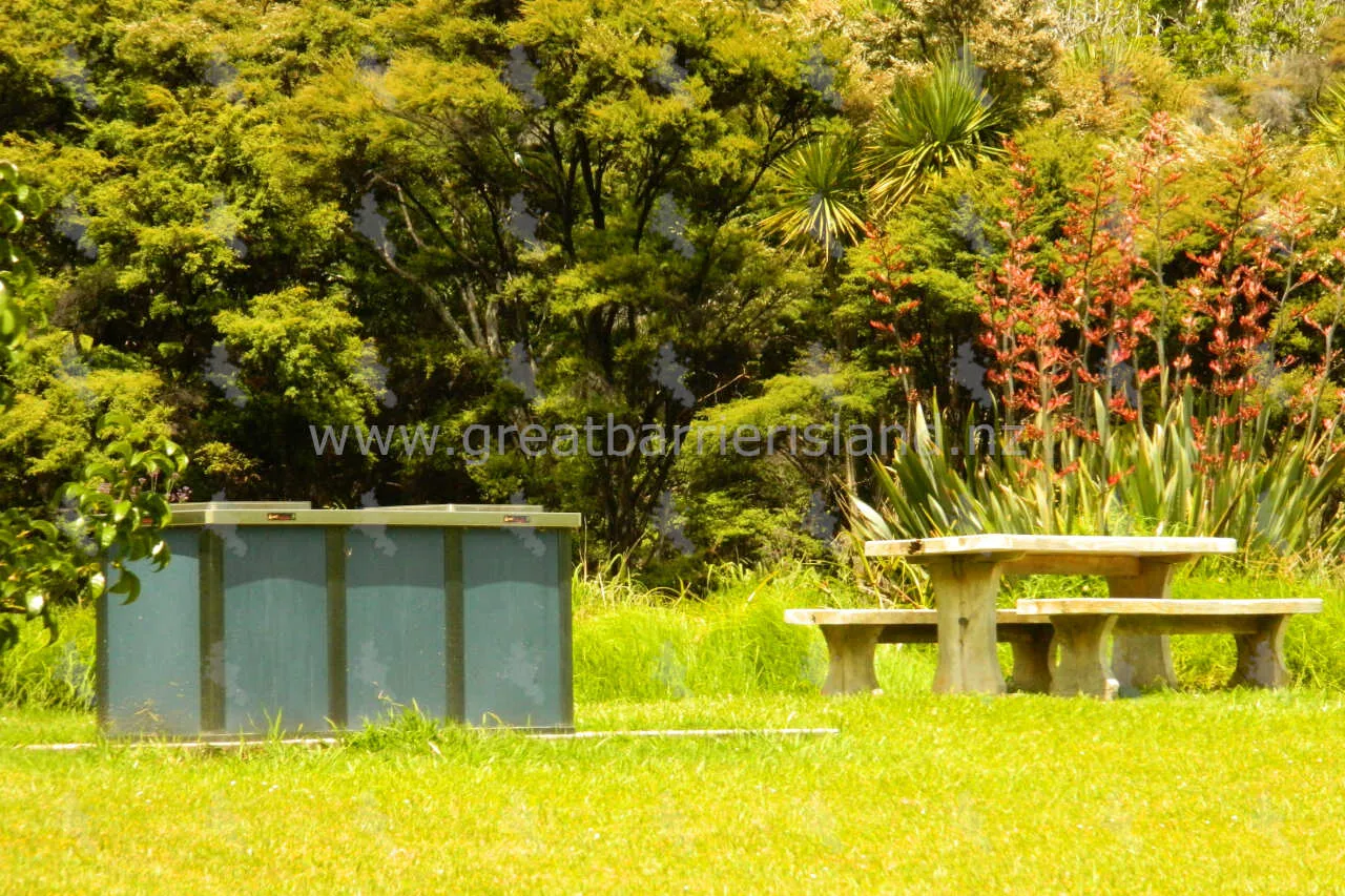 okiwi park barbecue great barrier island 7