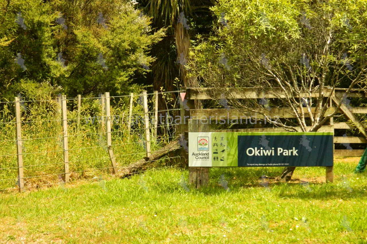 okiwi park great barrier island 3
